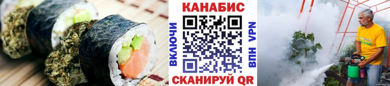 Canna-Cookies марихуана  Чудово 